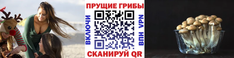 Псилоцибиновые грибы мухоморы  Калтан 